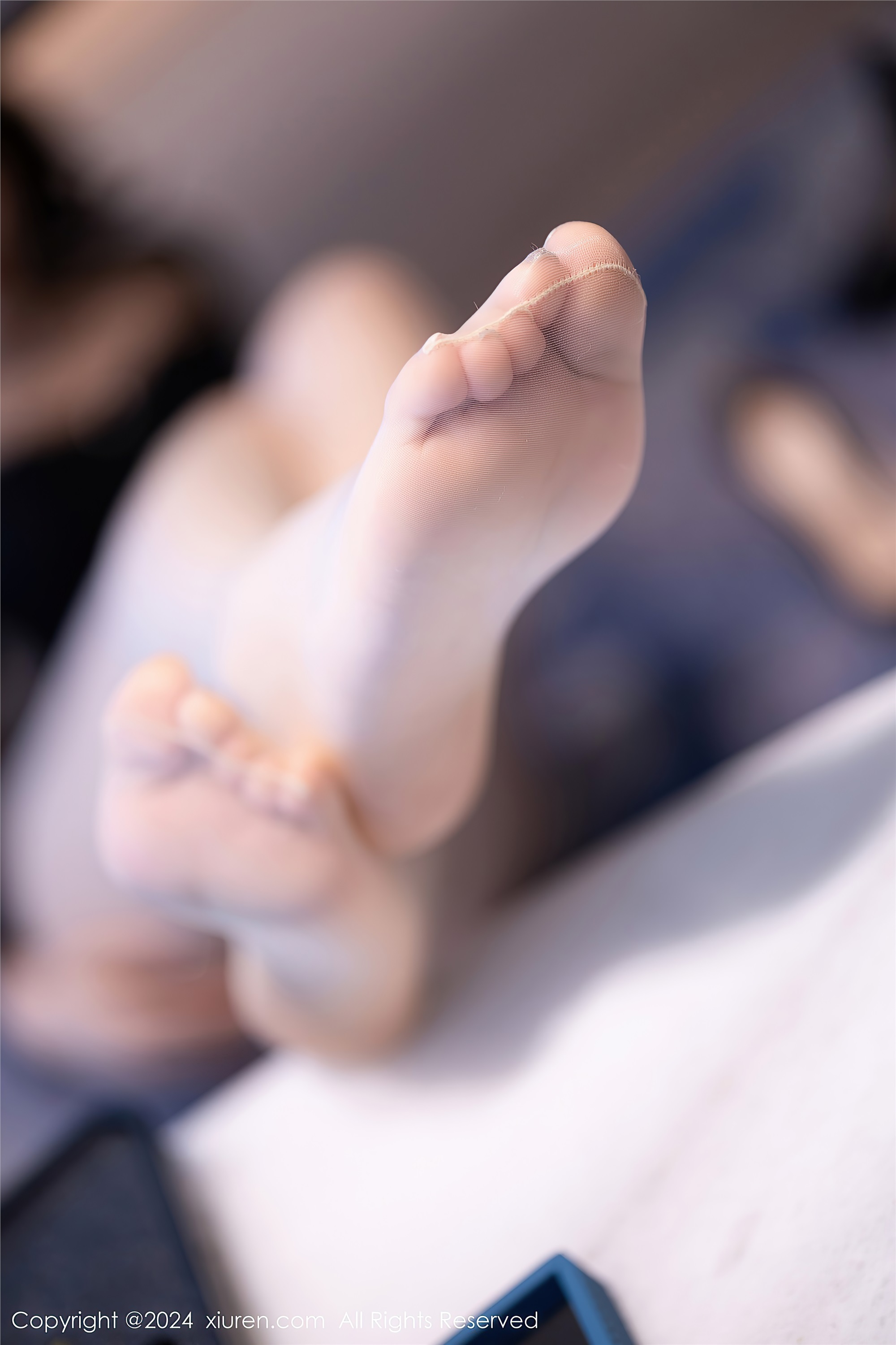 Xiuren秀人网 2024.08.21 NO.9048 徐莉芝Booty